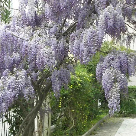 Hébergement de vacances La Di Rita Giulianova