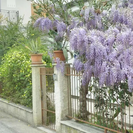 La Di Rita * Giulianova