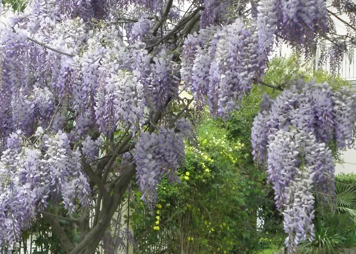 Prázdninový dům La Di Rita Giulianova